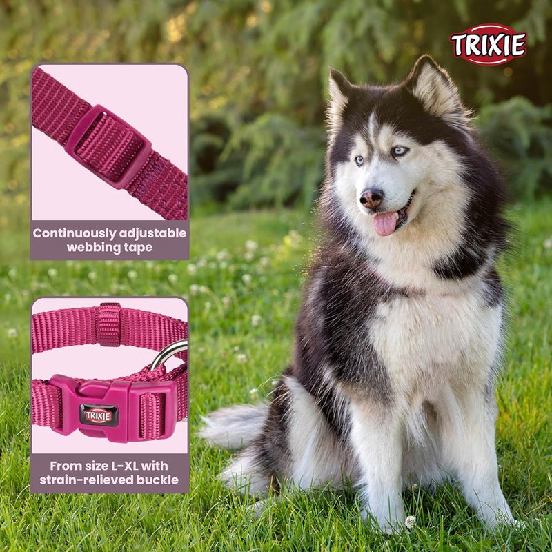 Trixie Premium Dog Collar - Orchid L-XL - Image 2