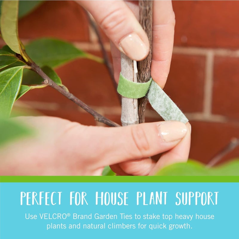 Velcro Brand Adjustable Plant Ties | 75 ft x 1/2 in Green Garden Tape | Reusable, Cut-to-Length Hook & Loop Plant Support for Staking, Training & Organizing Tomatoes, Vines, and Flowers - Image 5