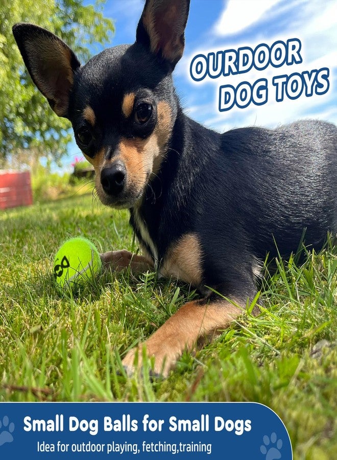 INSUM Tennis Balls for Dogs - 12 Pack 2.0'' Durable Non-Toxic Outdoor Dog Toys Balls with Mesh Bag, SGS Certified, Colorful Fetch Toys, Small Breeds (Non Squeaky) - Image 2