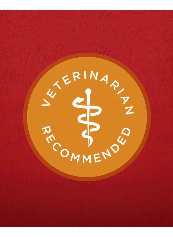 بيورينا ون طعام جاف للكلاب بنكهة الدجاج والأرز 1.36 كجم - Image 2