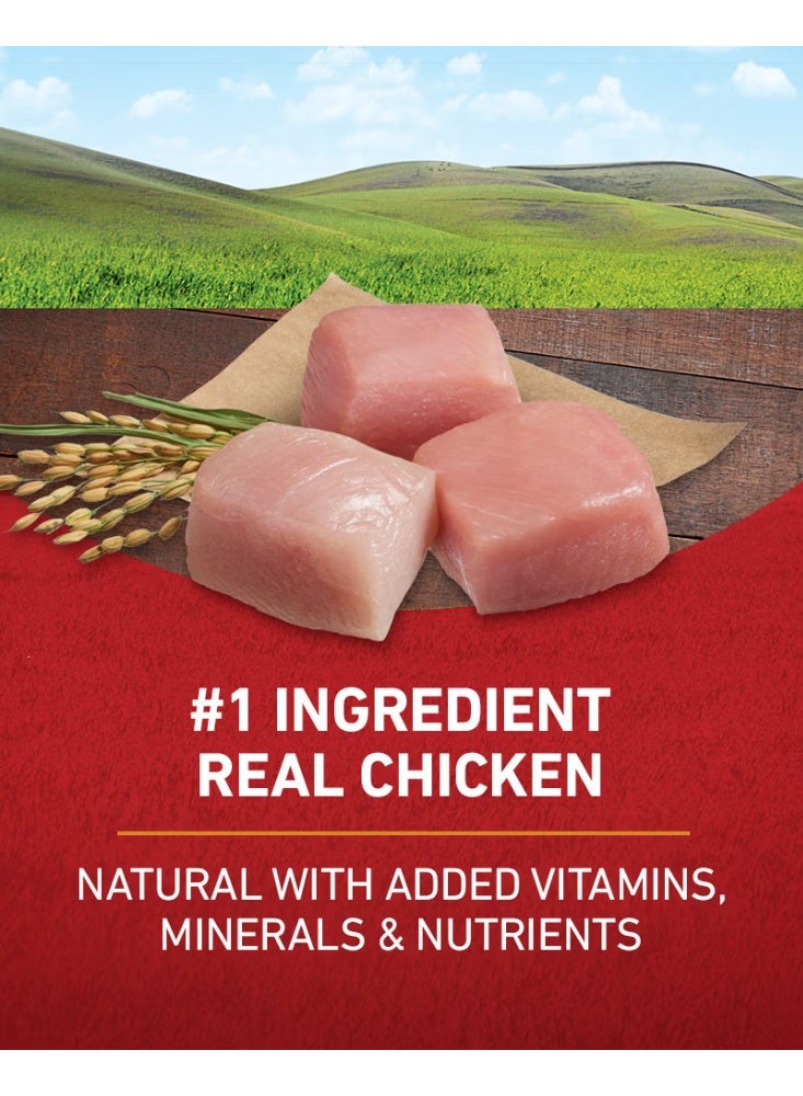 بيورينا ون طعام جاف للكلاب بنكهة الدجاج والأرز 1.36 كجم - Image 5