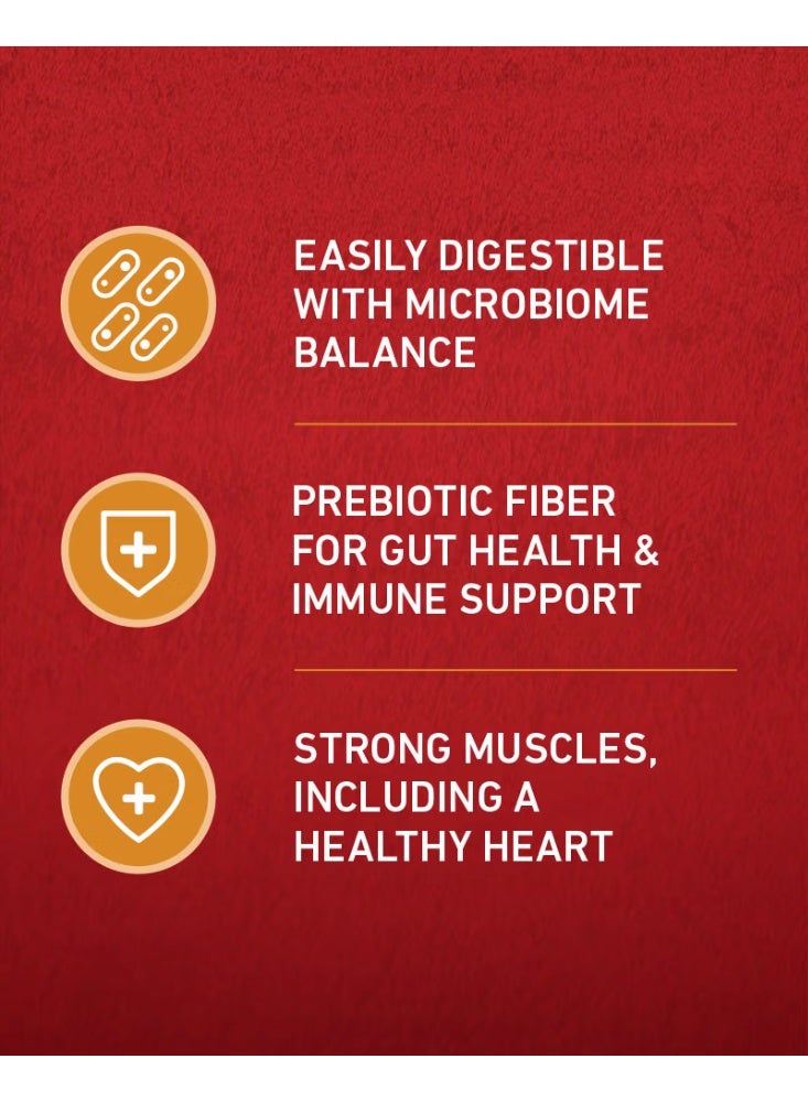 بيورينا ون طعام جاف للكلاب بنكهة الدجاج والأرز 1.36 كجم - Image 4