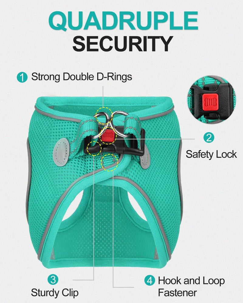 Joytale Small Dog Harness, Breathable Mesh Step-in Vest, Reflective Soft Padded Harnesses for Small and Medium Dogs, Teal, L - Image 3