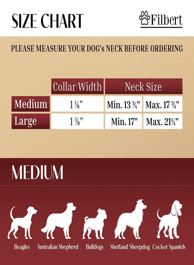 Filbert Leather Dog Collar with Airtag Holder, Upgraded Secure Airtag Collar Luxury, for Medium Dogs, Leather, Waterproof, Premium, Adjustable for All Breeds, Heavy Metal Buckle, Ultra-Durable - Image 3