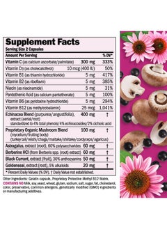 Andrew Lessman Andrew Lessman Immune Factors 180 Capsules - Echinacea, Goldenseal, Vitamin C, Astragalus, Berberine, Mushroom Blend, Black Currant. Supports and Promotes Immune System and Natural Defenses  - Image 2