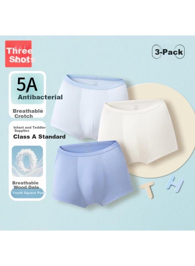 Threegun Children's Underwear Mudeer 5a Antibacterial Boys' Panties Three-pack 3 Pieces 170
