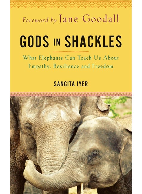 Gods in Shackles 