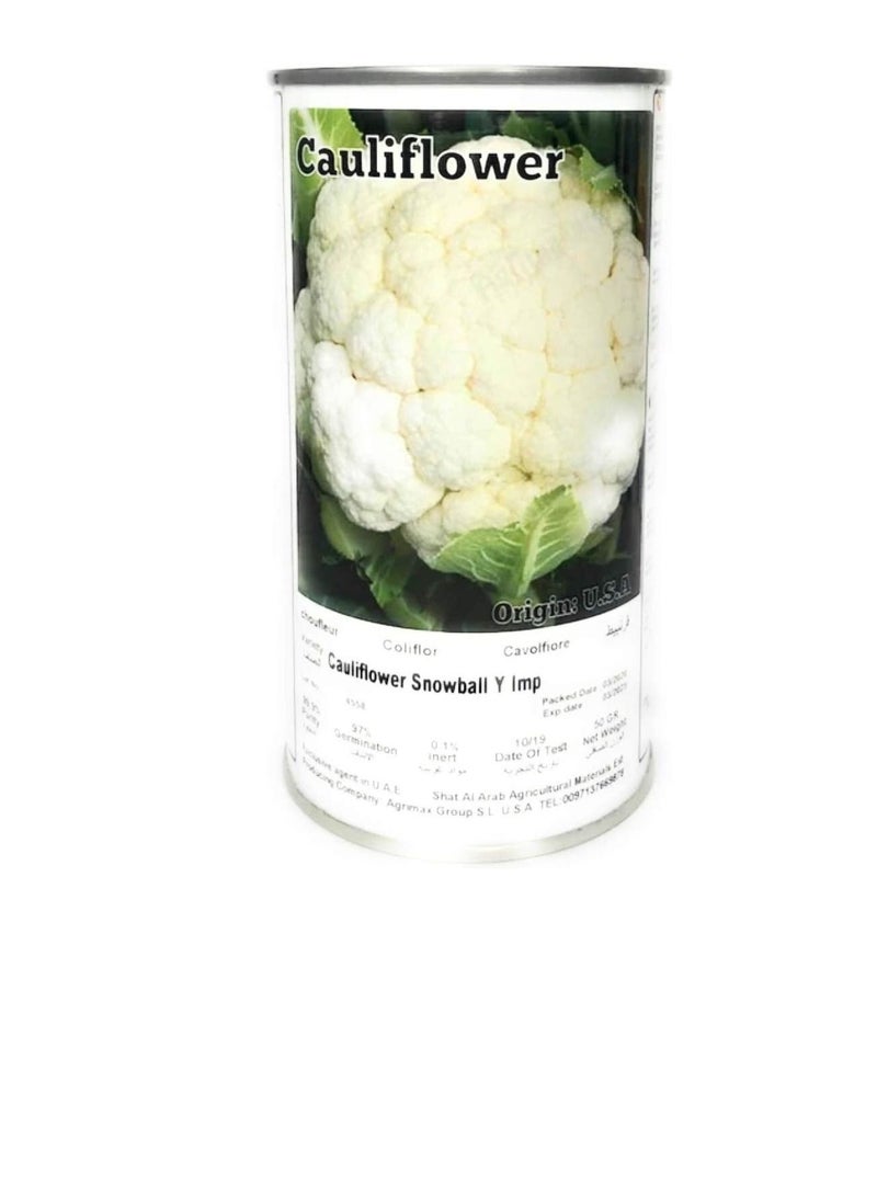 Agrimax Cauliflower Snowball Seeds - Image 1