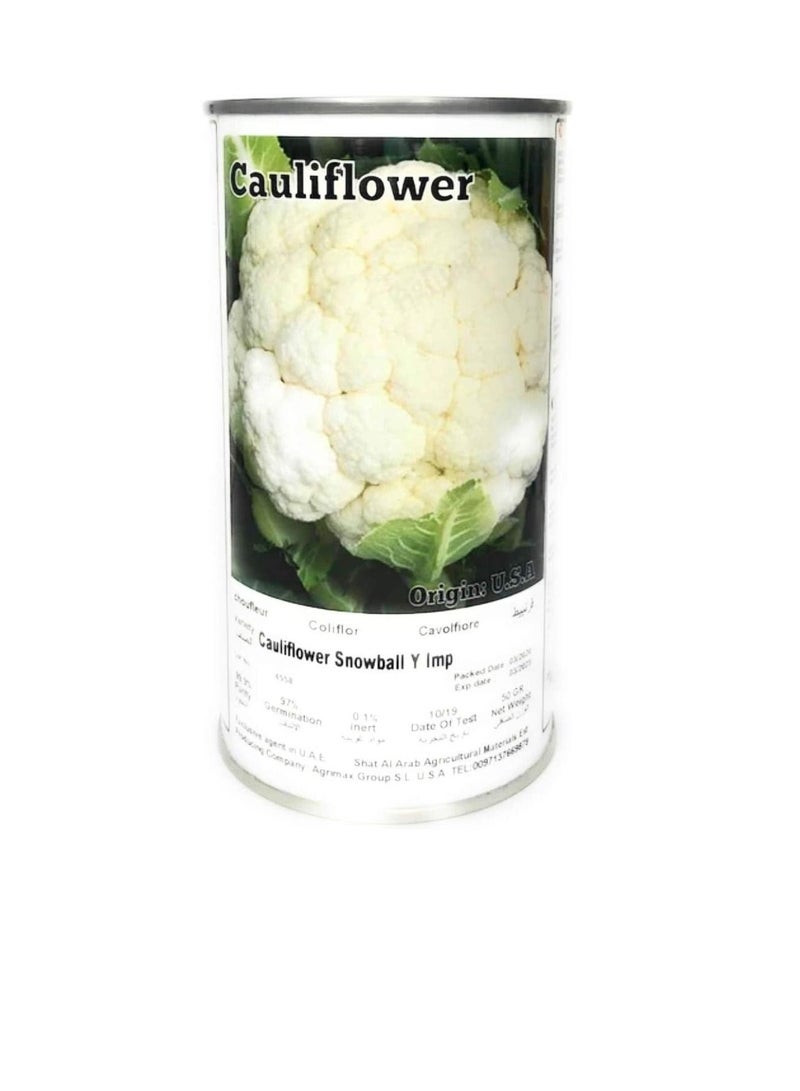 Agrimax Cauliflower Snowball Seeds - Image 3