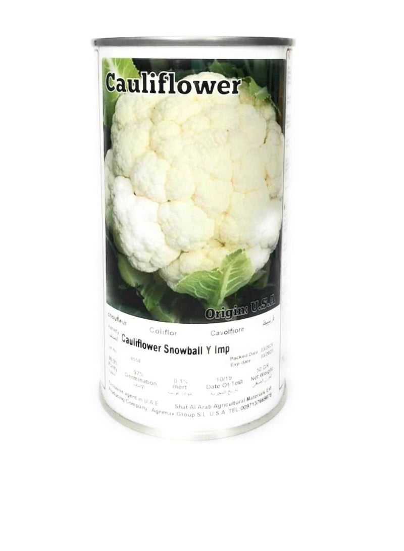 Agrimax Cauliflower Snowball Seeds - Image 2