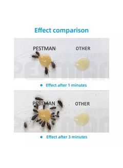 PESTMAN Cockroach Gel Bait 1 Tube of 30 grams  - Image 3