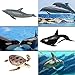 EOIVSH 24PCS Mini Ocean Animal Figurines Realistic Sea Creatures Toy Figures with Sharks Whales Walrus Under The Sea Life Figure for Party Decoration Easter Egg Filler School Project - Image 2
