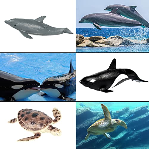 EOIVSH 24PCS Mini Ocean Animal Figurines Realistic Sea Creatures Toy Figures with Sharks Whales Walrus Under The Sea Life Figure for Party Decoration Easter Egg Filler School Project - Image 5