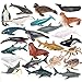 EOIVSH 24PCS Mini Ocean Animal Figurines Realistic Sea Creatures Toy Figures with Sharks Whales Walrus Under The Sea Life Figure for Party Decoration Easter Egg Filler School Project - Image 4