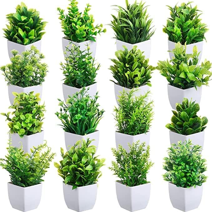 Dekorly Artificial Potted Plants, Artificial Plastic Eucalyptus Plants Small Indoor Potted Houseplants, Small Faux Plants for Home Decor Bathroom Office Farmhouse (Set 0F 16) - Image 2
