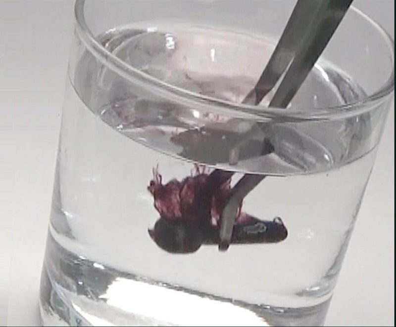 Engineer Neji-Saurus Screw Removal Pliers Liquid Rust Remover ZC-28 - Image 4