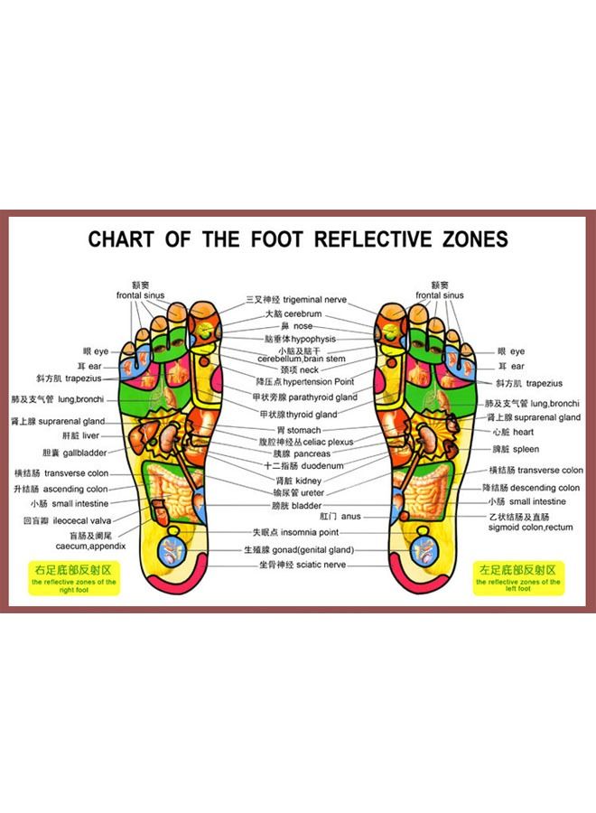 ZCM-HAPPY Shiatsu Leg Fasciitis Foot Massager Pebble Slippers - Image 3