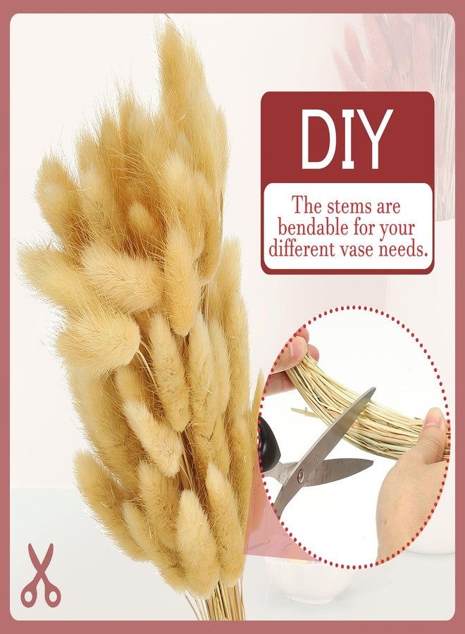 باتيكيل زهور مجففة على شكل ذيول أرنب من باتيكيل، طولها 15.7 بوصة، 150 قطعة من عشب البامباس لتزيين المنزل، عشب بامباس طبيعي، عشب بامباس صناعي مجفف، لون بيج، مناسب لتزيين المنزل، ديكور بوهيمي، مزهرية، وحفلات الزفاف - Image 3