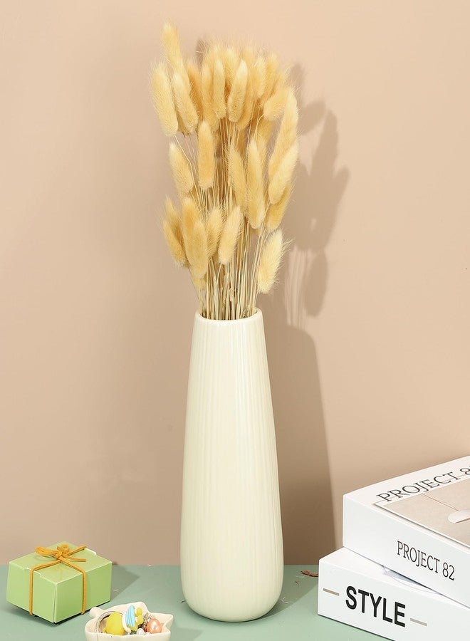 باتيكيل زهور مجففة على شكل ذيول أرنب من باتيكيل، طولها 15.7 بوصة، 150 قطعة من عشب البامباس لتزيين المنزل، عشب بامباس طبيعي، عشب بامباس صناعي مجفف، لون بيج، مناسب لتزيين المنزل، ديكور بوهيمي، مزهرية، وحفلات الزفاف - Image 4