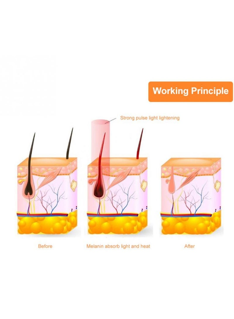 إيفرين جهاز إزالة الشعر بالليزر IPL لإزالة الشعر، 500000 ومضة، آلة إزالة الشعر للنساء، الحلاقة المنزلية، الاستخدام المنزلي، ماكينة حلاقة للجسم غير مؤلمة (أبيض) - Image 5