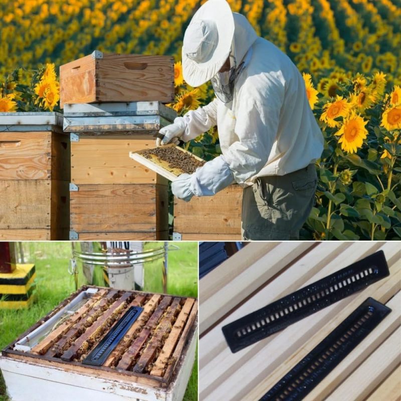 Beehive Beetle Trap, Black - Hive Beetle Trap for Beekeeping Pest Control, Apiary Use - Image 4