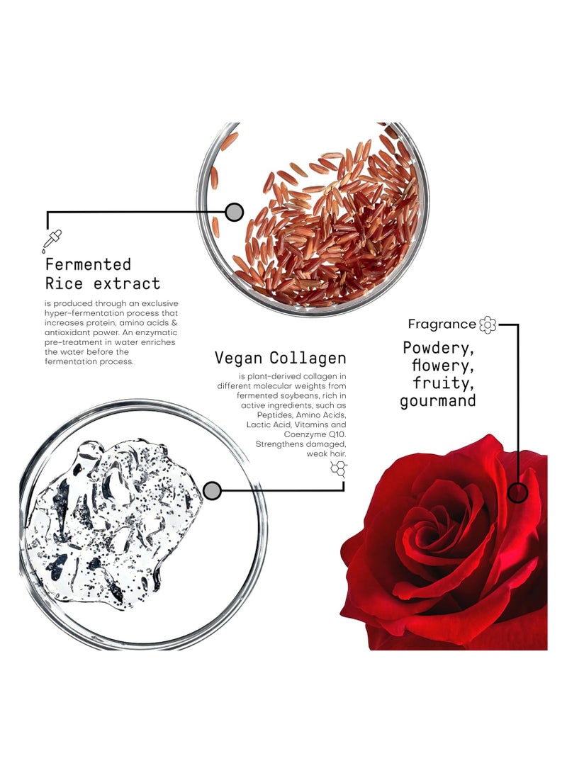 فراميسي مورفوسيسيس - شامبو إعادة الهيكلة 1000 مل - Image 3