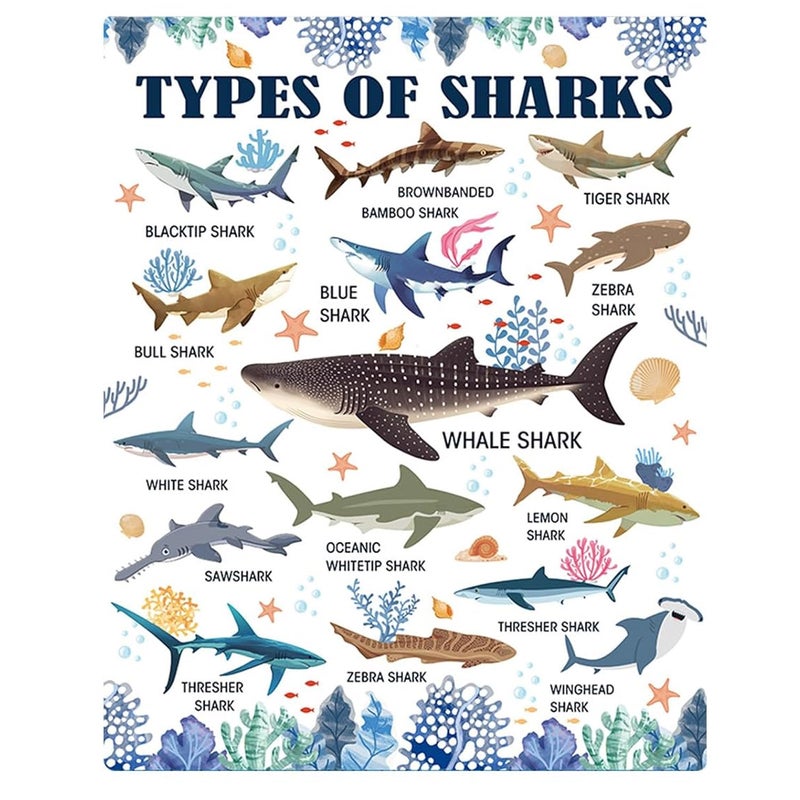 Shark Blanket Gifts for Boys Kids, Shark Blanket for Girls, Shark Gifts for Kids, Fish Gifts for Women Men, Gifts for Christmas Thanksgiving 50x60 in - Image 1