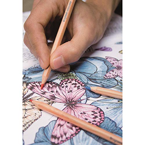 Bruynzeel Expression Colour Pencils Tin 72 (60312072) - Image 3