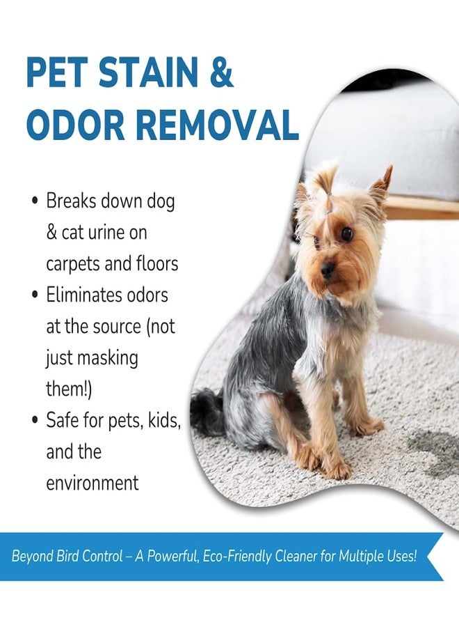 Bird Barrier Dissolve-It Max Enzyme Cleaner - Mix with Water - Bird Dropping Cleaner - Dissolves Waste - Treat Affected Areas Before Installing Bird Control Products - Bird Cage Cleaner - 1 Quart - Image 4