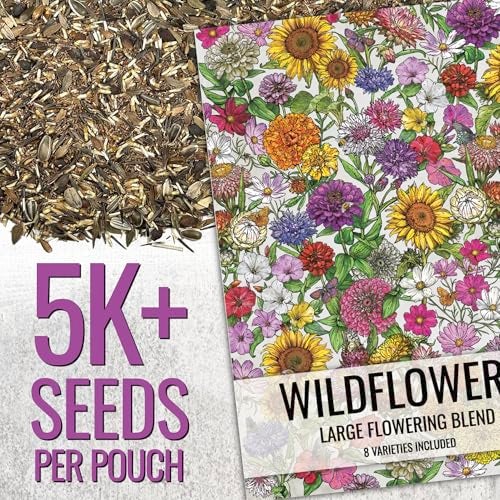 Seed Needs Garden Flower Seeds Large Blooms Mix Hummingbird and Butterfly | 1 Ounce No Filler 7 Varieties Open Pollinated | Resealable Package Live Wild Flower Seed | Bulk - Image 2