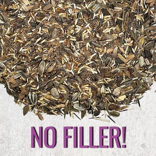 Seed Needs Garden Flower Seeds Large Blooms Mix Hummingbird and Butterfly | 1 Ounce No Filler 7 Varieties Open Pollinated | Resealable Package Live Wild Flower Seed | Bulk - Image 5