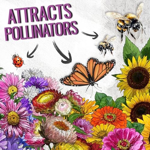 Seed Needs Garden Flower Seeds Large Blooms Mix Hummingbird and Butterfly | 1 Ounce No Filler 7 Varieties Open Pollinated | Resealable Package Live Wild Flower Seed | Bulk - Image 4