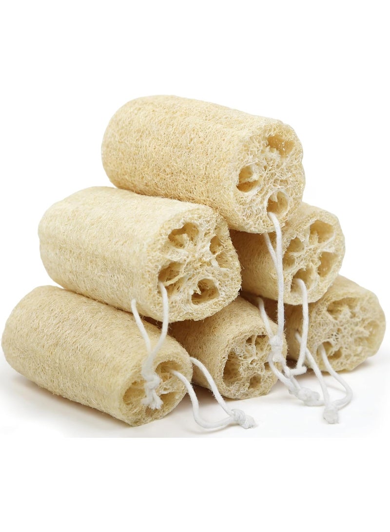 Loofah اسفنجة طبيعية عضوية Loofah حمام اسفنجة تقشير دش الجسم اسفنجة كريم فرك ، مجموعة 6 قطع - Image 1
