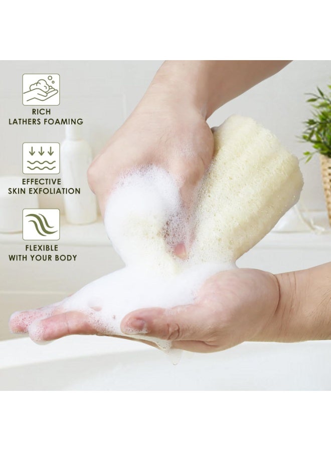 Loofah اسفنجة طبيعية عضوية Loofah حمام اسفنجة تقشير دش الجسم اسفنجة كريم فرك ، مجموعة 6 قطع - Image 2