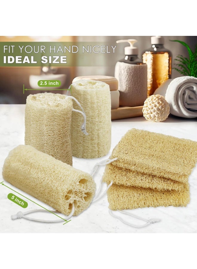 Loofah اسفنجة طبيعية عضوية Loofah حمام اسفنجة تقشير دش الجسم اسفنجة كريم فرك ، مجموعة 6 قطع - Image 4