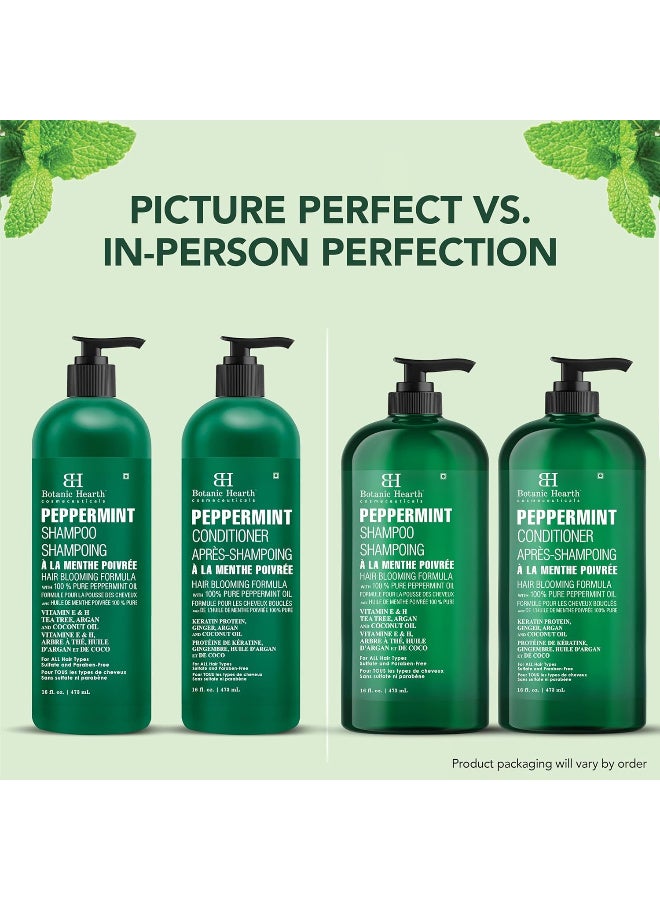 بوتانيك هيرث مجموعة شامبو وبلسم بزيت النعناع من بوتانيك هيرث - تركيبة لتقوية الشعر بالكيراتين للشعر الخفيف - تحارب تساقط وتعزز نموه - خالية الكبريتات للرجال والنساء - 473 ملليلتر × 2 سميك - Image 2
