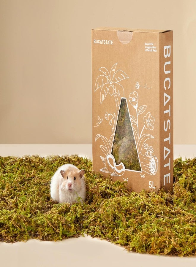 BUCATSTATE 5L Hamster Bedding, Natural Forest Moss Hamster Bedding Odor Control, Nature Hamsters Substrate Cage Accessories for Dwarf Syrian Hamsters, Mice, Gerbils (Dried Moss) - Image 1
