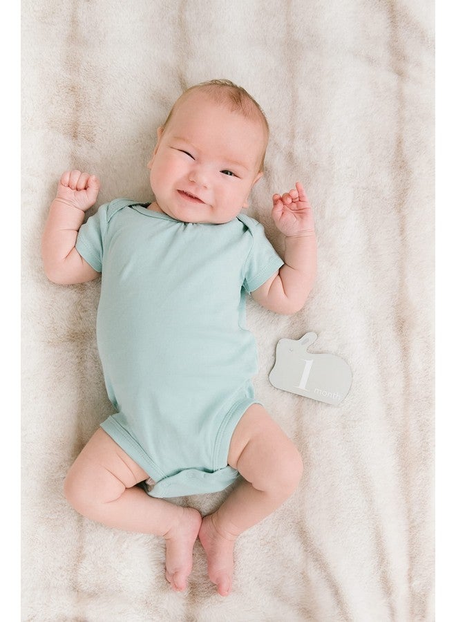 Pearhead Wooden Bunny Monthly Milestone Discs, Baby Photo Prop Keepsakes for Capturing Monthly Growth Through Baby’s First Year, Gift for Baby Girl or Baby Boy - Image 4