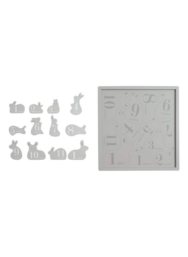 Pearhead Wooden Bunny Monthly Milestone Discs, Baby Photo Prop Keepsakes for Capturing Monthly Growth Through Baby’s First Year, Gift for Baby Girl or Baby Boy - Image 2