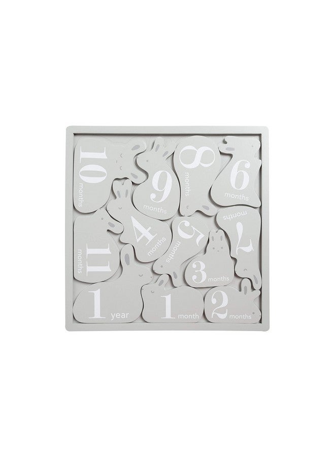 Pearhead Wooden Bunny Monthly Milestone Discs, Baby Photo Prop Keepsakes for Capturing Monthly Growth Through Baby’s First Year, Gift for Baby Girl or Baby Boy - Image 3