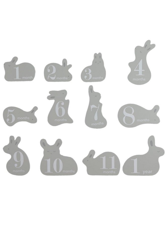 Pearhead Wooden Bunny Monthly Milestone Discs, Baby Photo Prop Keepsakes for Capturing Monthly Growth Through Baby’s First Year, Gift for Baby Girl or Baby Boy - Image 1
