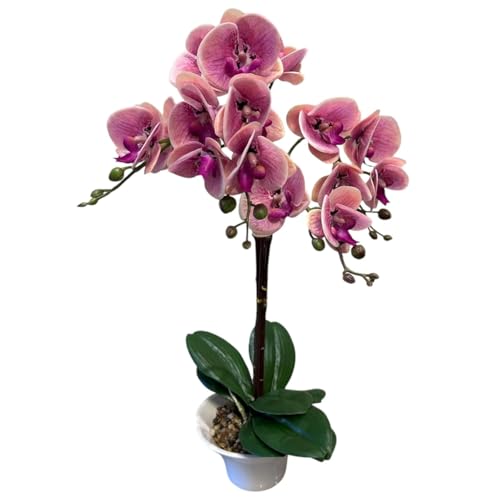 Fox & Fern Artificial Orchid Flowers in Ceramic Pot with 2 Stems, 4 Flower Sticks (GAOR23-0112LP)| Orchid Bonsai Faux Phalaenopsis Plant (Ht. 53CM) (Light Pink) - Image 1