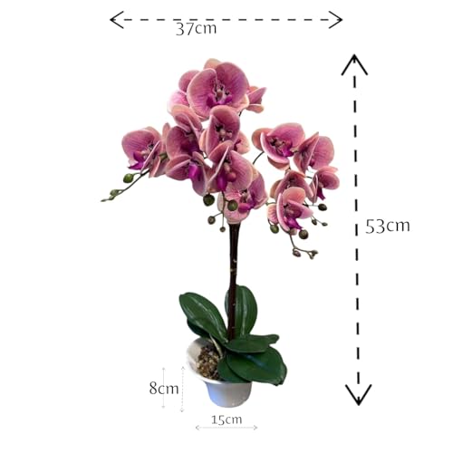 Fox & Fern Artificial Orchid Flowers in Ceramic Pot with 2 Stems, 4 Flower Sticks (GAOR23-0112LP)| Orchid Bonsai Faux Phalaenopsis Plant (Ht. 53CM) (Light Pink) - Image 2