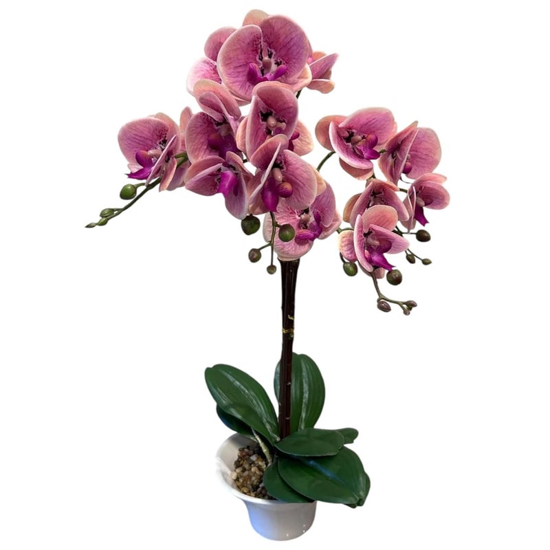 Fox & Fern Artificial Orchid Flowers in Ceramic Pot with 2 Stems, 4 Flower Sticks (GAOR23-0112LP)| Orchid Bonsai Faux Phalaenopsis Plant (Ht. 53CM) (Light Pink) - Image 3