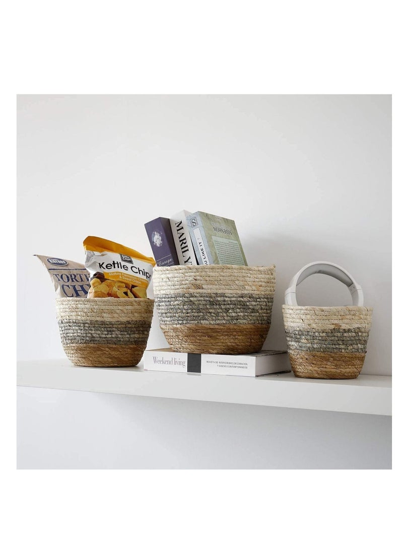 Seagrass Plant Basket Set of 3 - Hand Woven Basket Indoor Outdoor Storage Flower Pot Cover with Interior Plastic Coatin Home Decor & Natural Plant Containers - pzsku/ZB9BA7F76032FC1B631AAZ/45/_/1696135989/607822de-9c9e-4b58-b5e3-a1a511d2a140