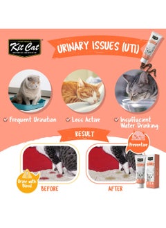 Kit Cat Cat Vitamins & Nutritional Paste for Urinary Tract Support - 120g - Daily Cranberry Formula  - Image 2