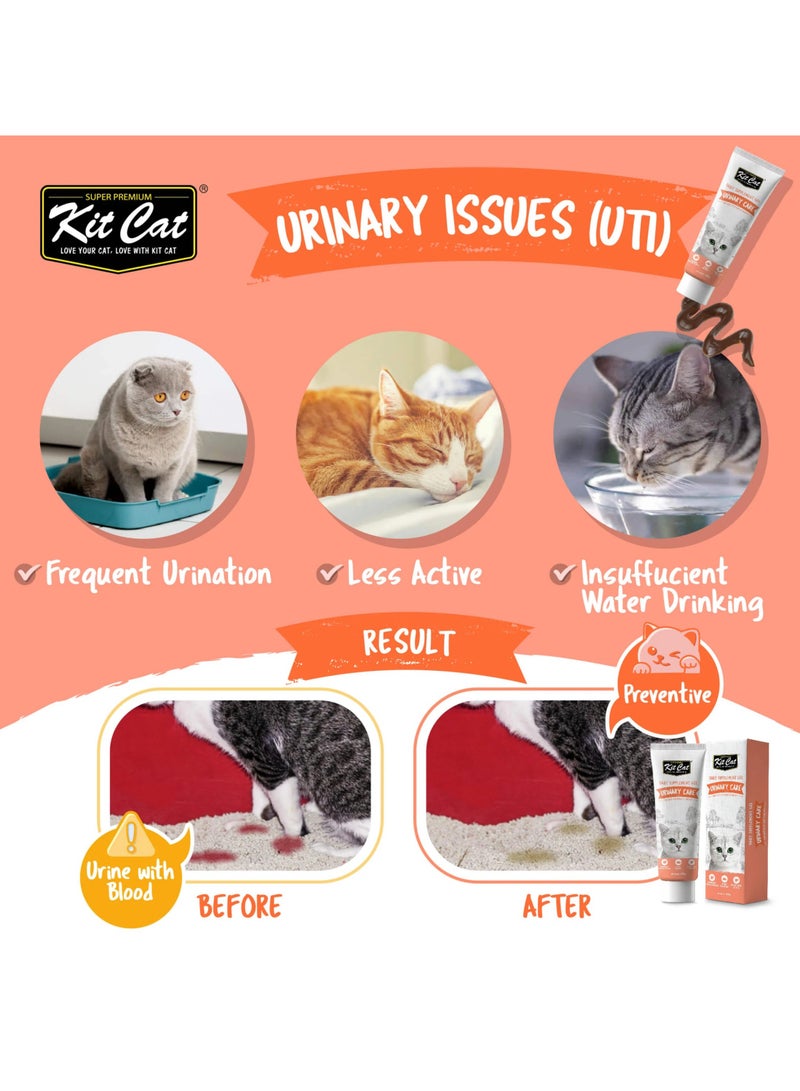 كيت كات فيتامينات قطط معجون غذائي لدعم المسالك البولية للقطط البالغة  والقطط الصغيرة - 120 جرام - تركيبة يومية بالكرانبري - Image 2