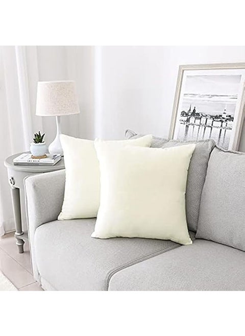 Soft Thick Velvet Decorative Square Cushion Cover Set Of 2 Pcs