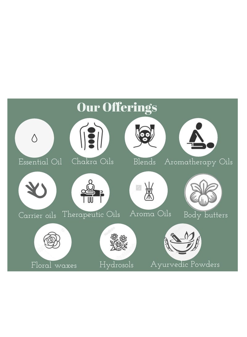 ديف هيربس عرق السوس النقي، زيت عرق السوس، جليسيرهيزا جلابرا، 15 مل، 0.50 أونصة - Image 4