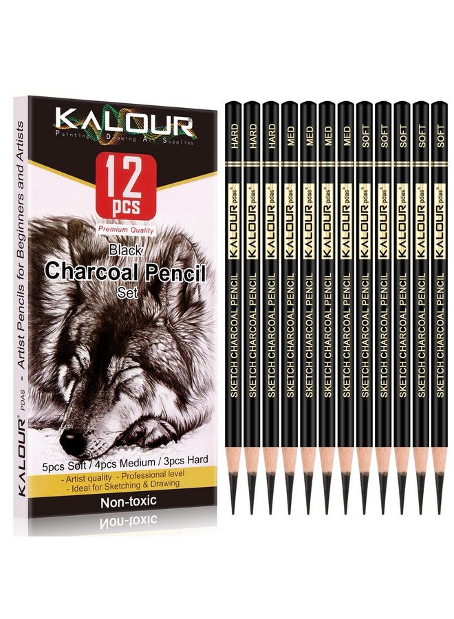 KALOUR Professional Charcoal Pencils Drawing Set 12 Pieces Soft Medium And Hard Charcoal Pencils For Drawing Sketching Shading Artist Pencils For Beginners & Artists - Image 1